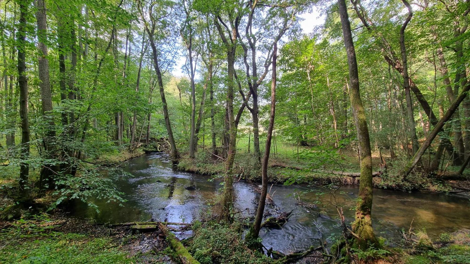 Domki Nad Morzem Lublewo21 Obok Bialogory Lublewo Leborskie 외부 사진