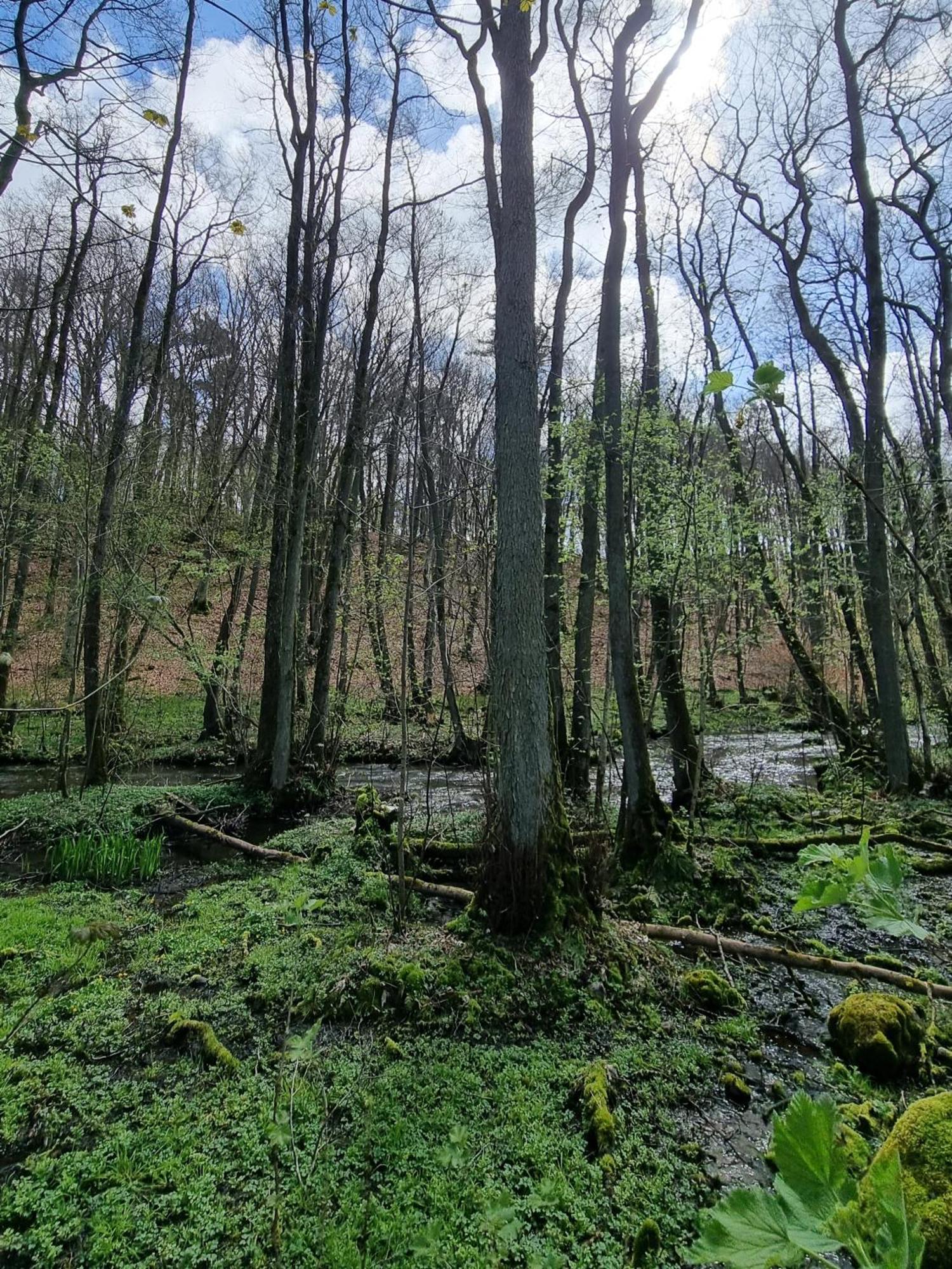 Domki Nad Morzem Lublewo21 Obok Bialogory Lublewo Leborskie 외부 사진